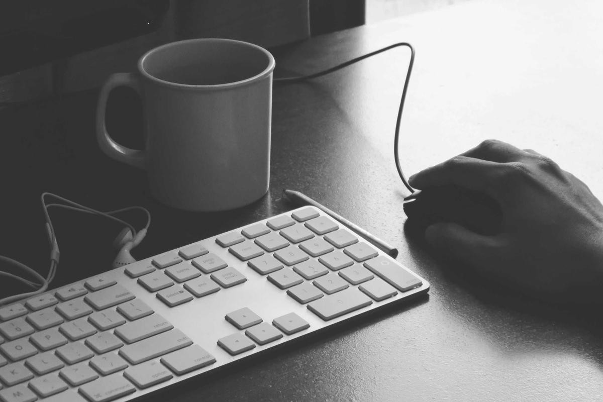 Business plan review for startup
